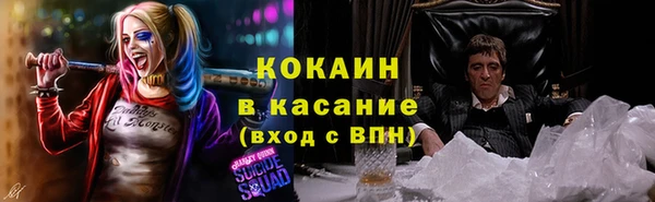крисы Каменск-Шахтинский