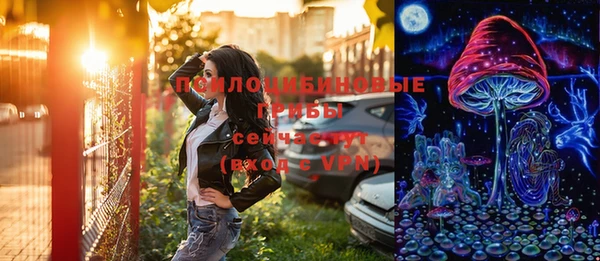 крисы Каменск-Шахтинский