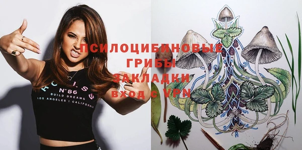 крисы Каменск-Шахтинский