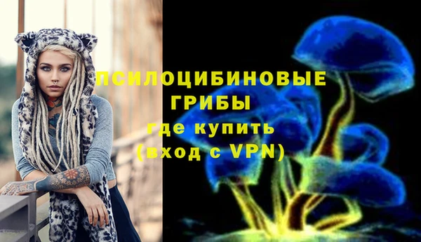 крисы Каменск-Шахтинский